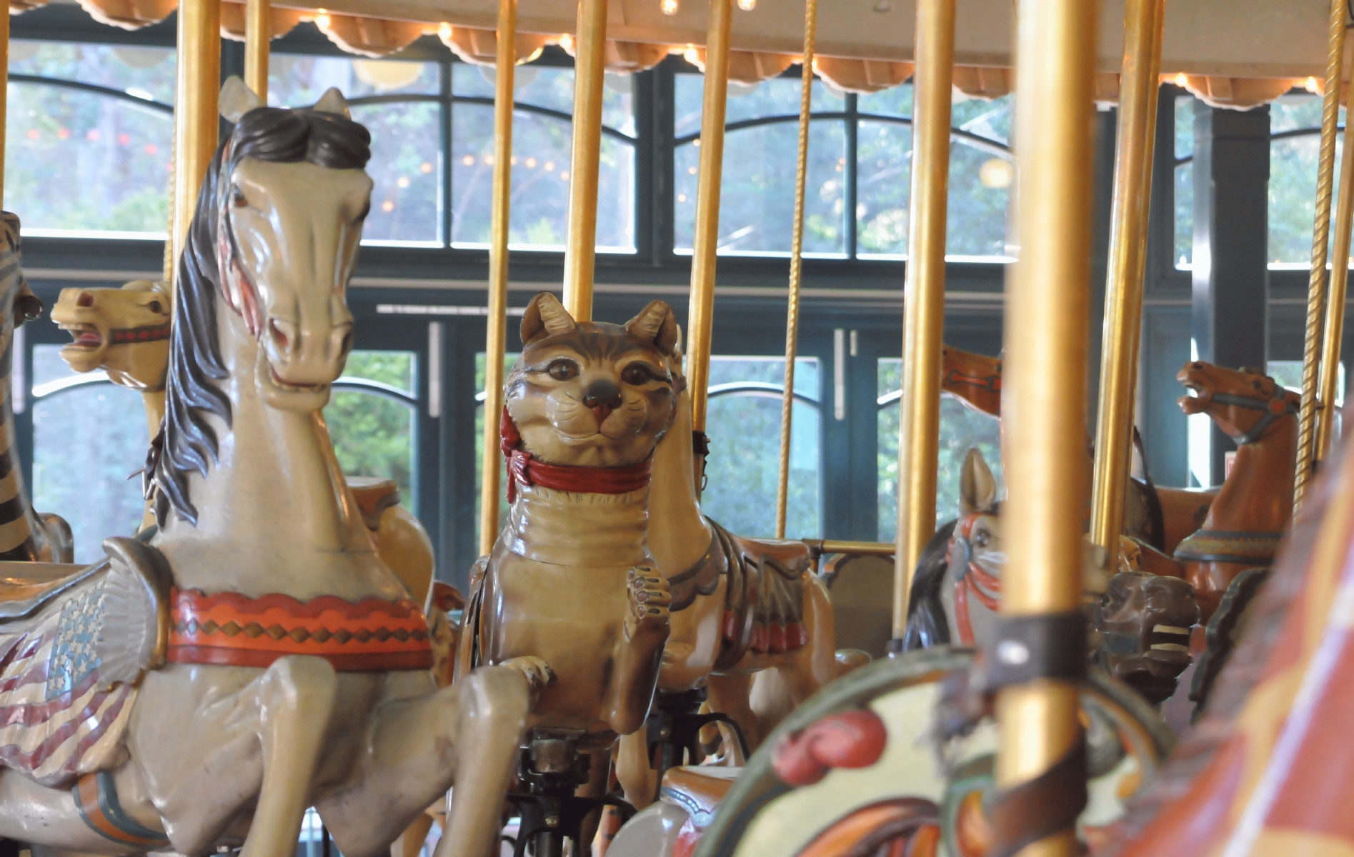 ./Tilden_Park_Carousel_20150124_145314_C15_0277.jpg