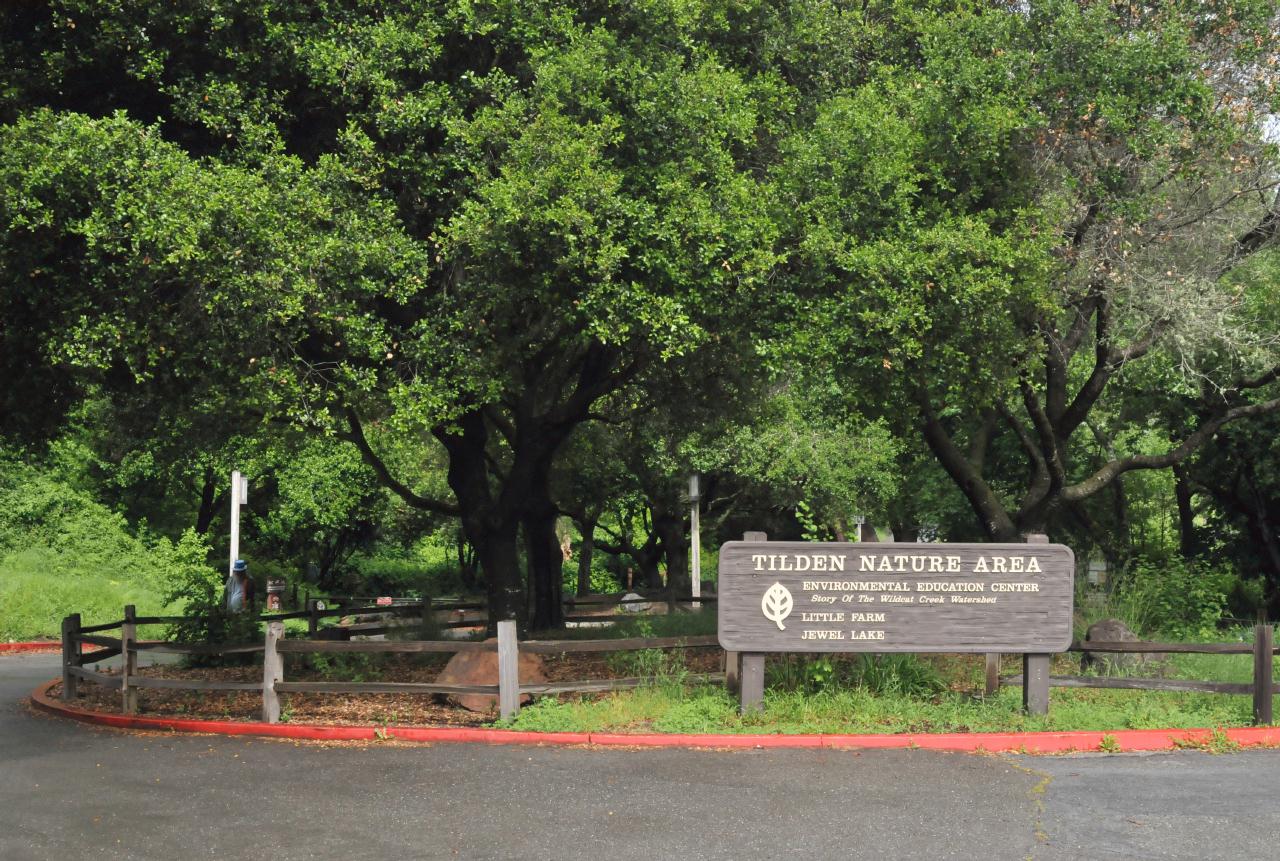 ./Tilden_Park_Nature_Area_20100518_102908_4696BCX.jpg