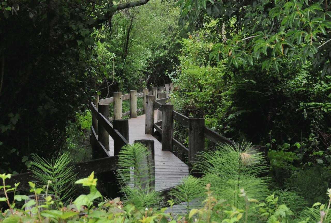 ./Tilden_Park_Nature_Area_20100518_103840_4707BCX.jpg