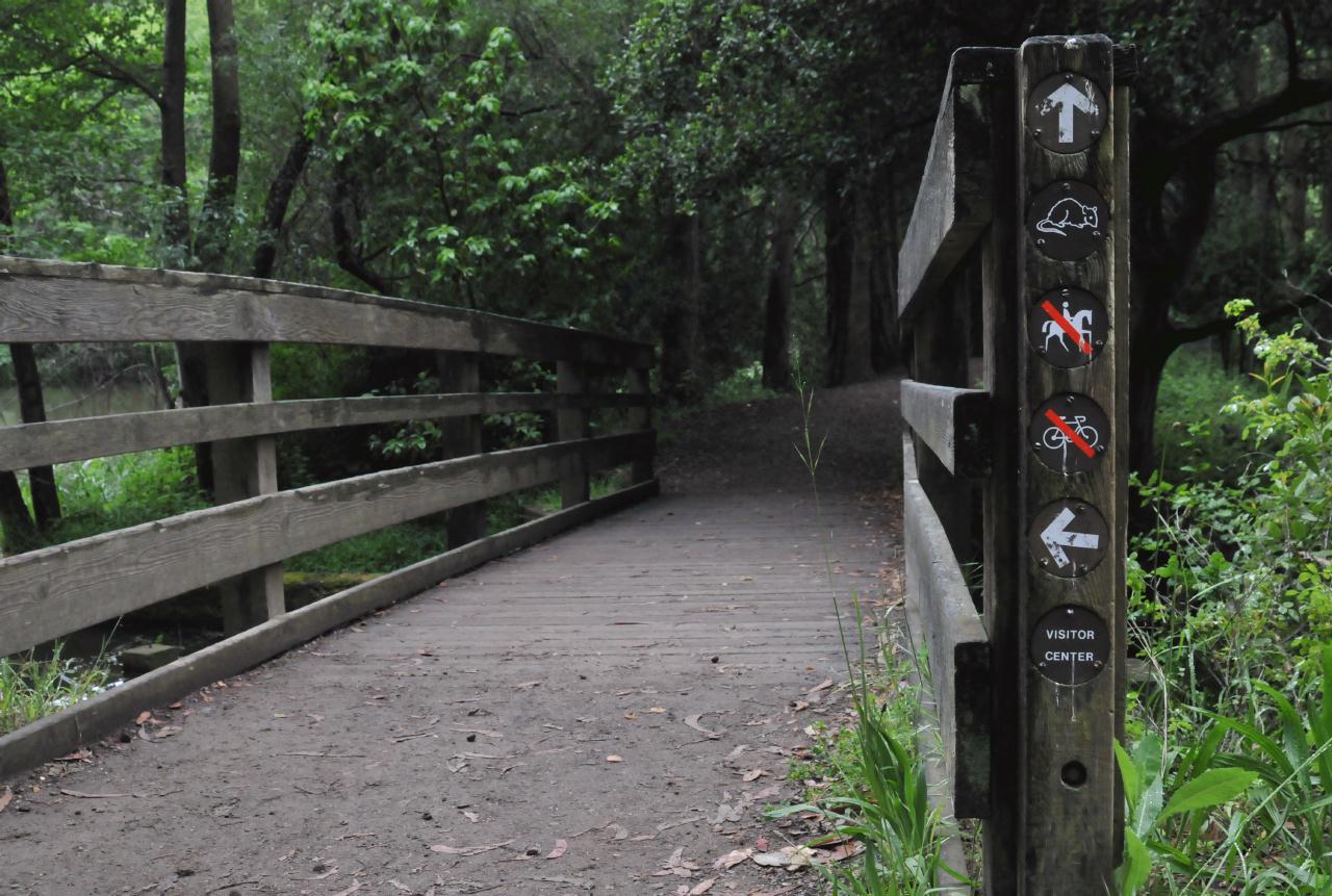 ./Tilden_Park_Nature_Area_20100518_110442_4731BCX.jpg