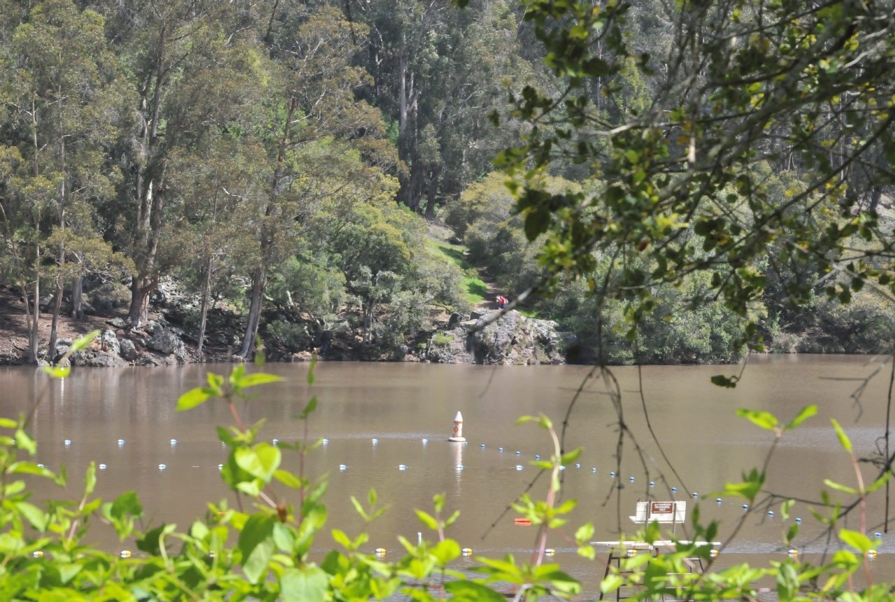 ./Lake_Anza_Oakland_20120415_132151_B12_3767.jpg