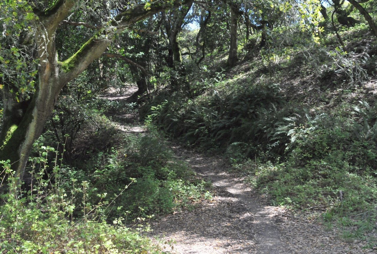 ./Lake_Anza_Oakland_20120415_132345_B12_3771.jpg