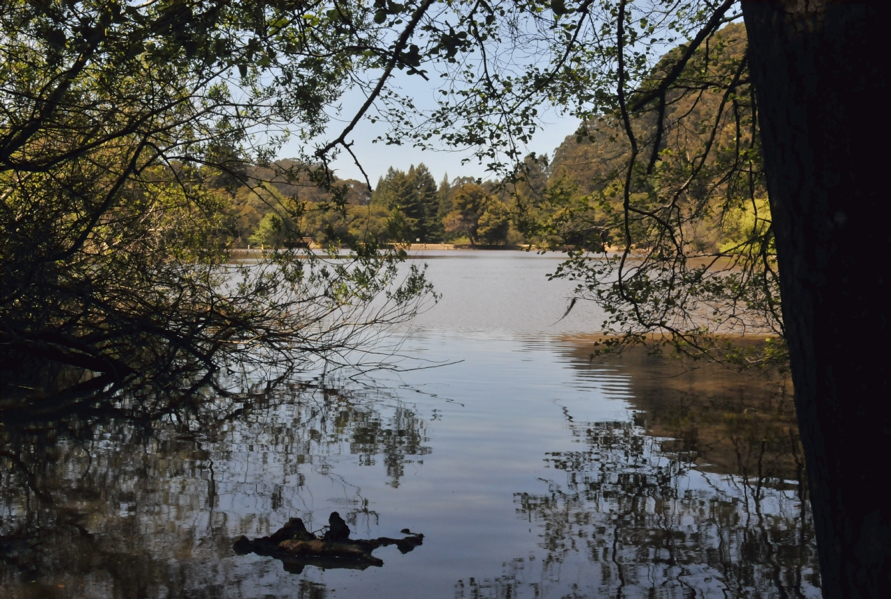 ./Lake_Anza_Oakland_20120415_135232_B12_3789.jpg