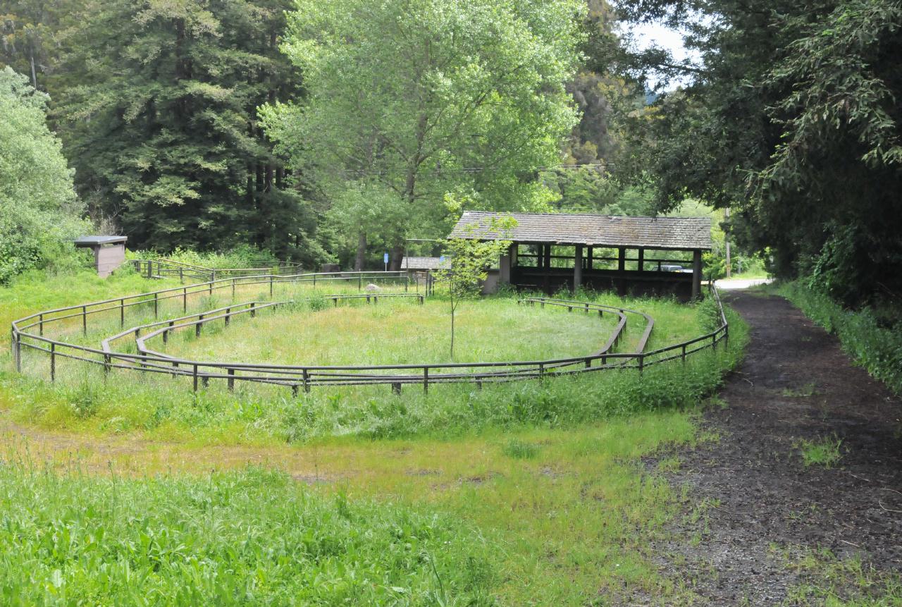 ./Tilden_Park_Poney_Rides_20100523_122727_4811BCX.jpg