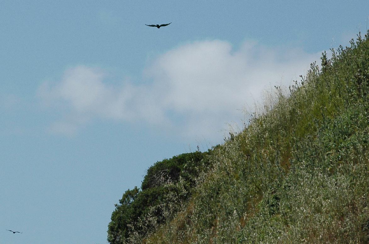 ./AngelIsland_36_2008_2145B.jpg