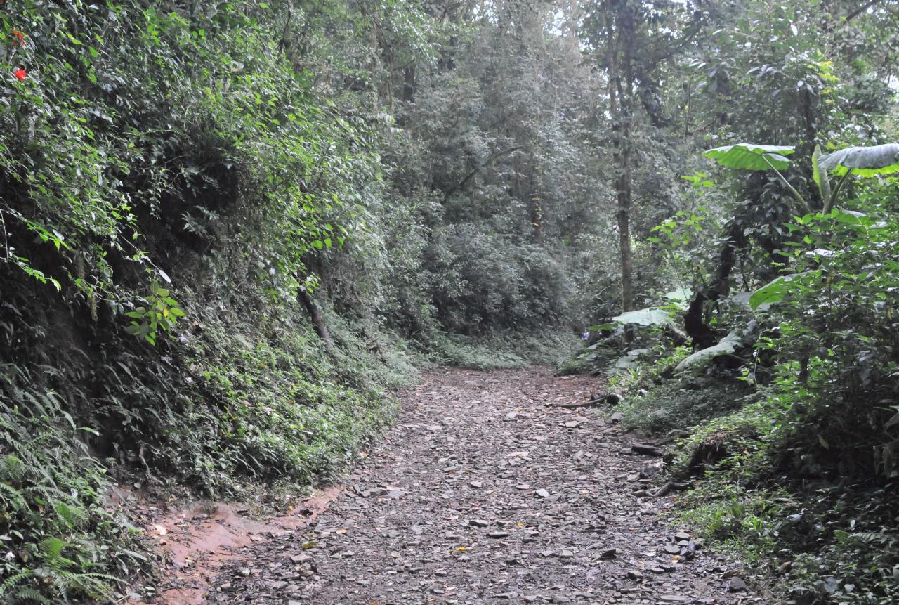 ./MonteverdeNaturHikeCostaRica20080914_03_4397BCX.jpg