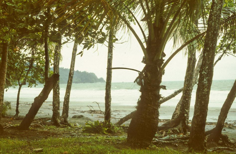 ./ManuelAntonio1988_06.jpg