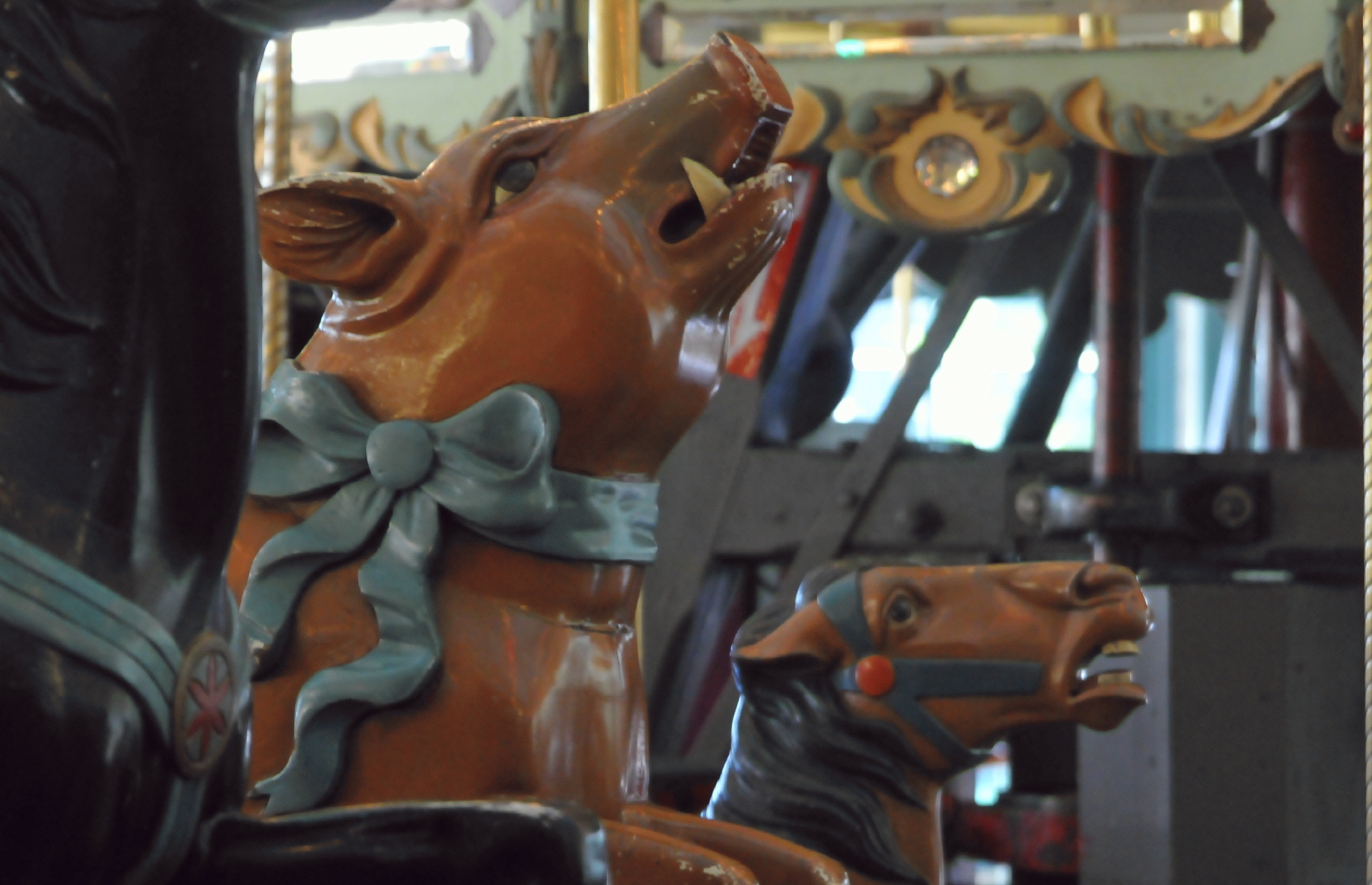 ./Tilden_Park_Carousel_20150124_145215_C15_0271.jpg