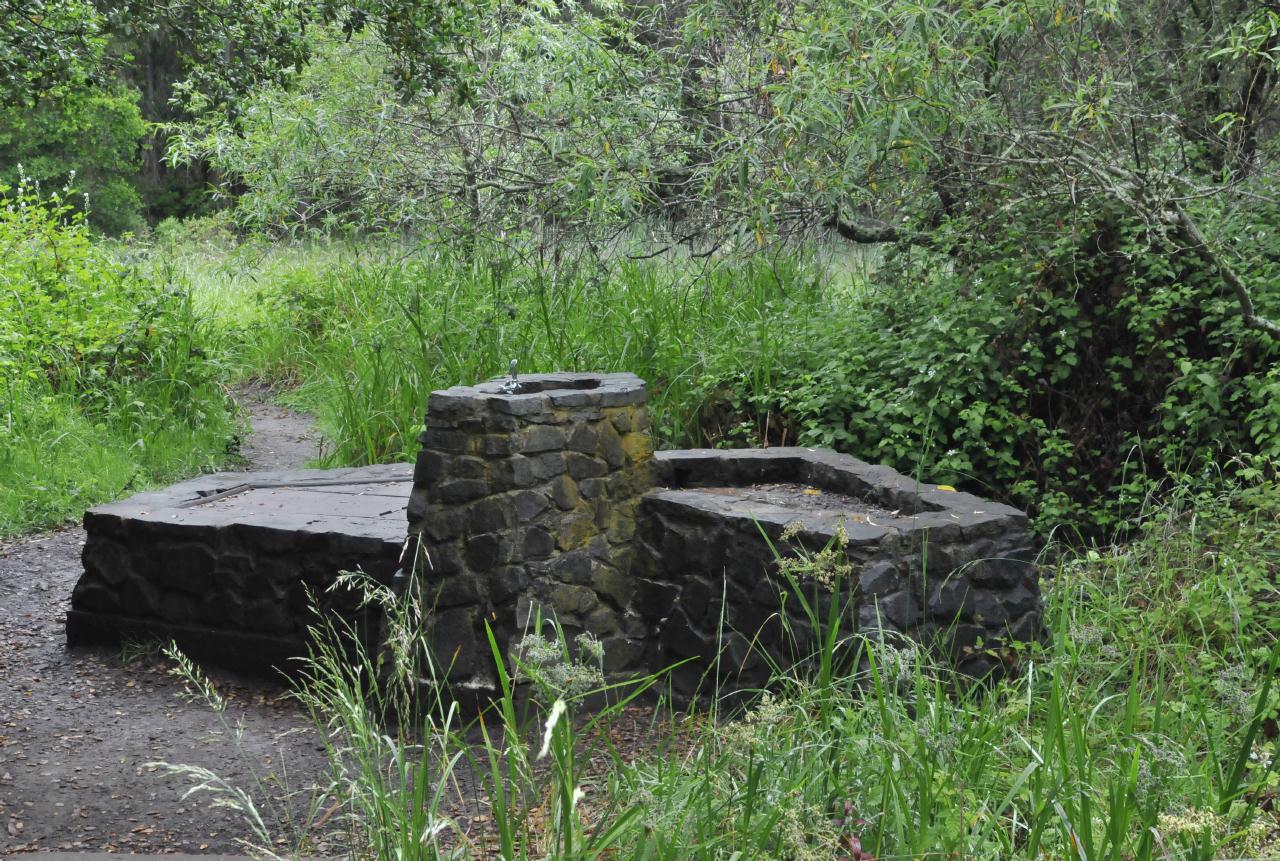 ./Tilden_Park_Nature_Area_20100518_104446_4711BCX.jpg