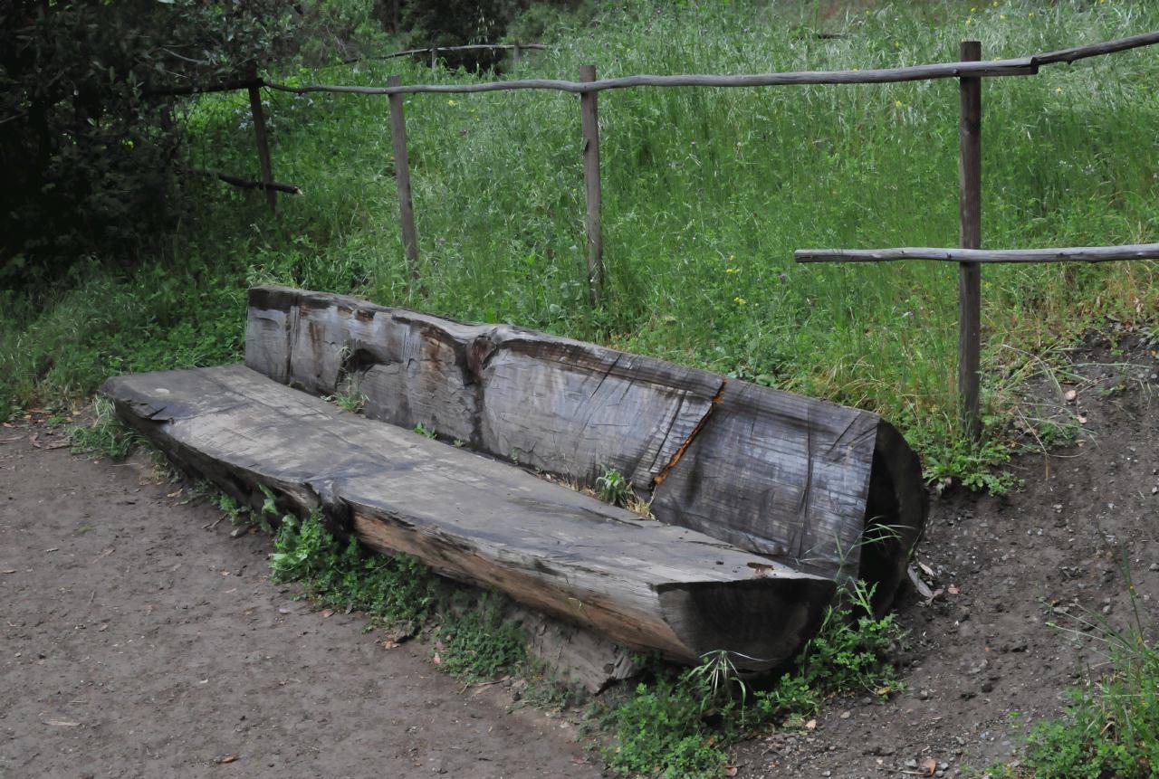 ./Tilden_Park_Nature_Area_20100518_110020_4725BCX.jpg