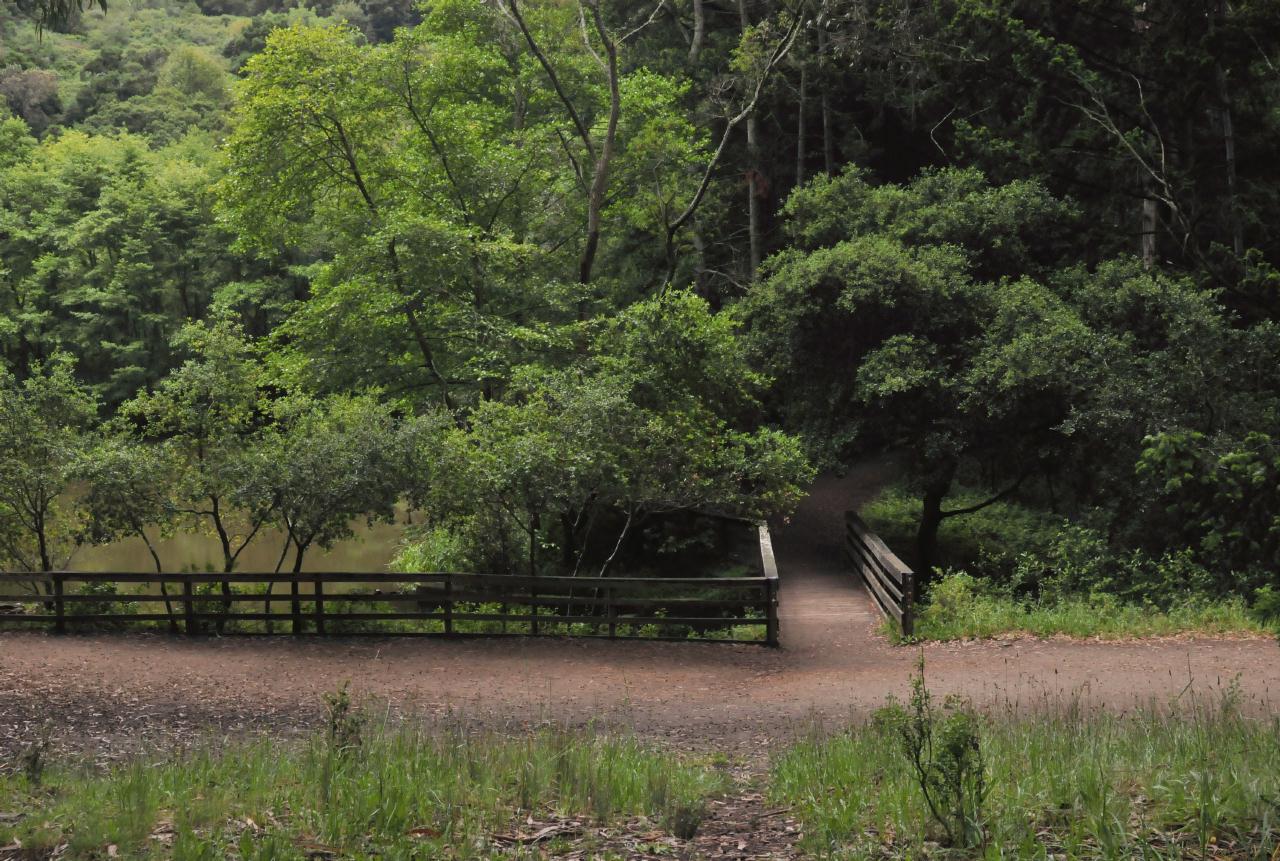 ./Tilden_Park_Nature_Area_20100518_115052_4764BCX.jpg