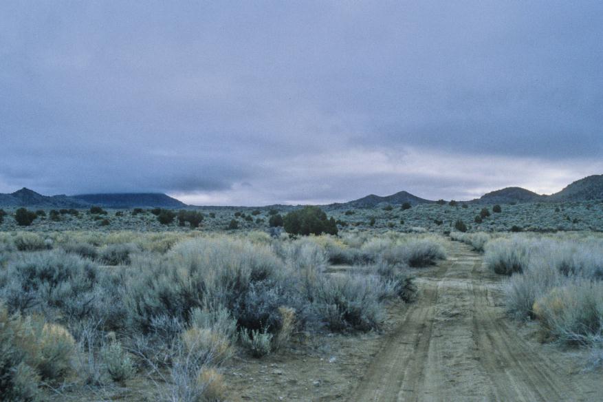 ./Mojave1995_02.jpg