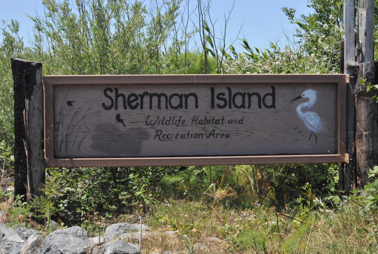 ./Sherman_Island_20100523_123452_4966BCX.jpg