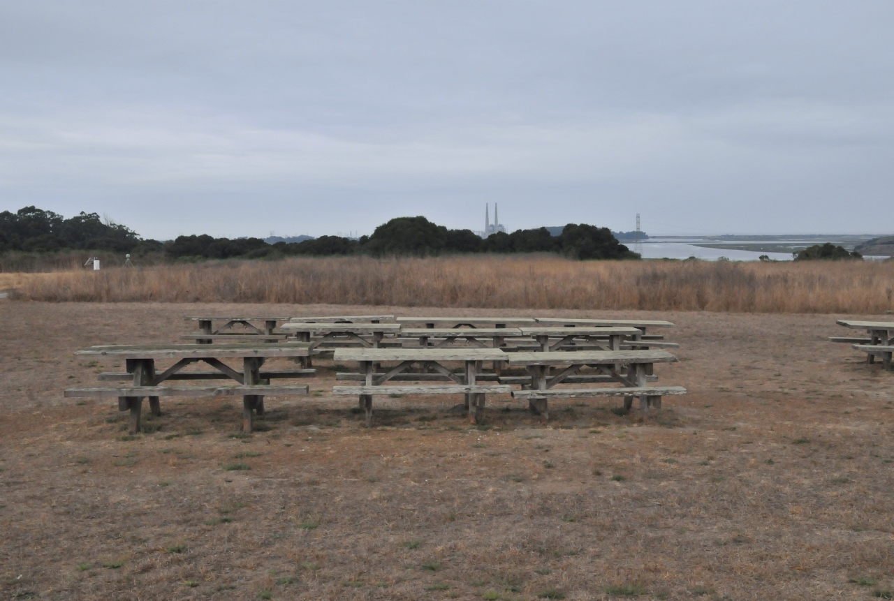 ./Elkhorn_Slough_20101022_095714_BCY_2615.jpg