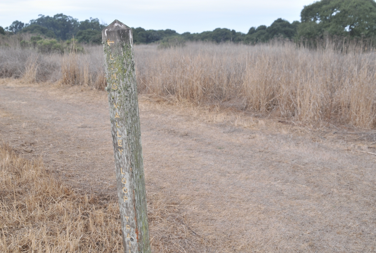 ./Elkhorn_Slough_20101022_095938_BCY_2619.jpg