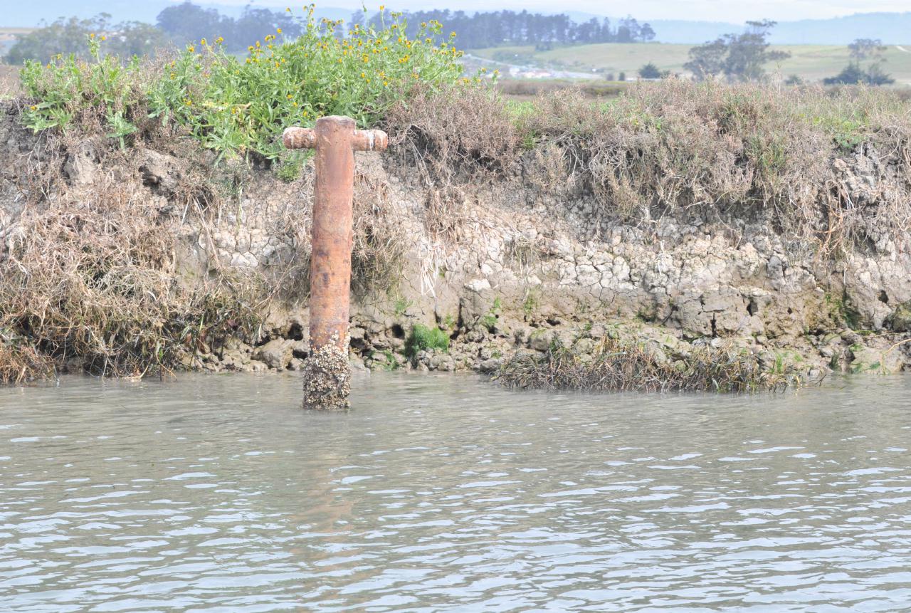 ./Elkhorn_Slough_Safari_20100312_101152_2838BCX.jpg