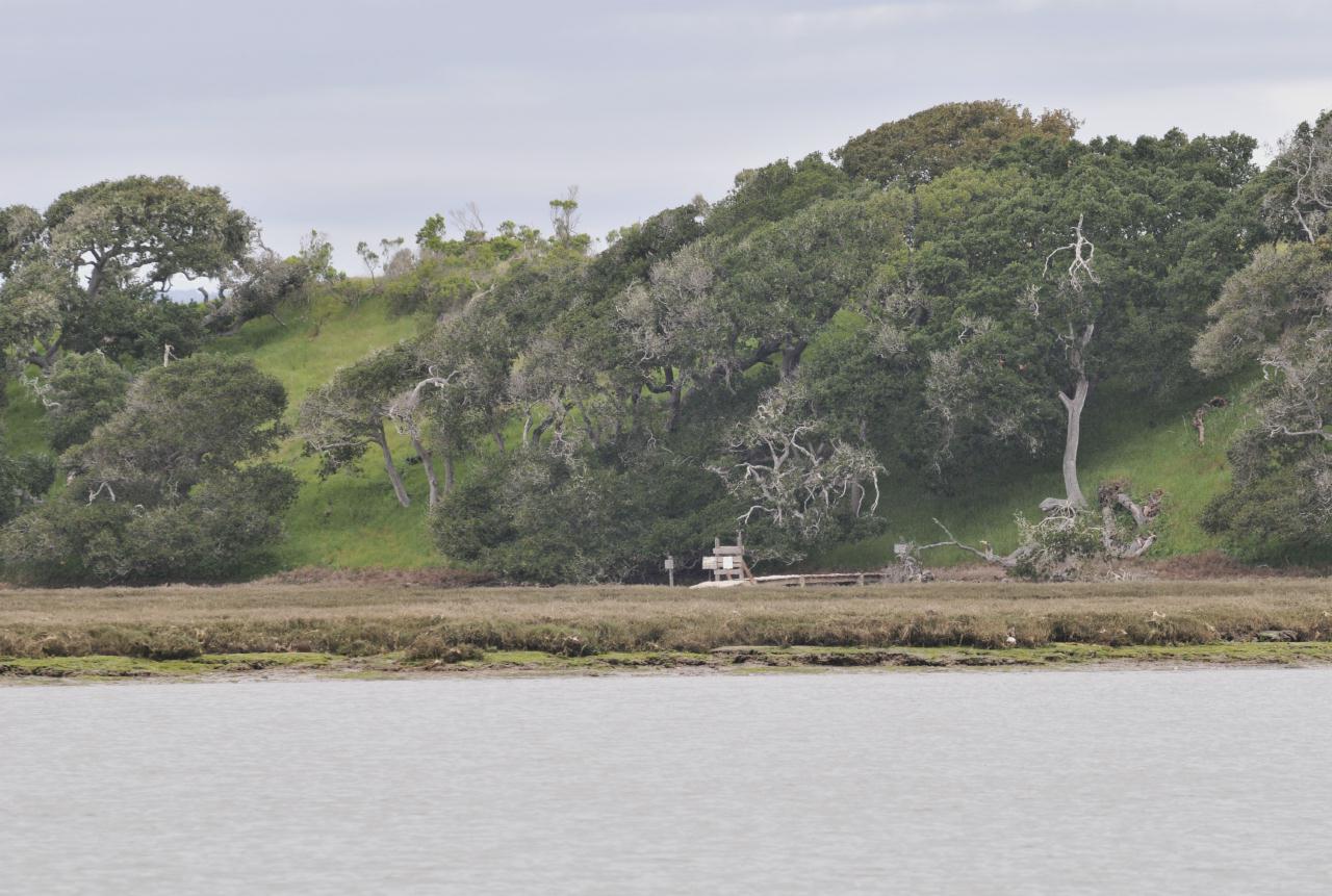 ./Elkhorn_Slough_Safari_20100312_104948_2874BCX.jpg