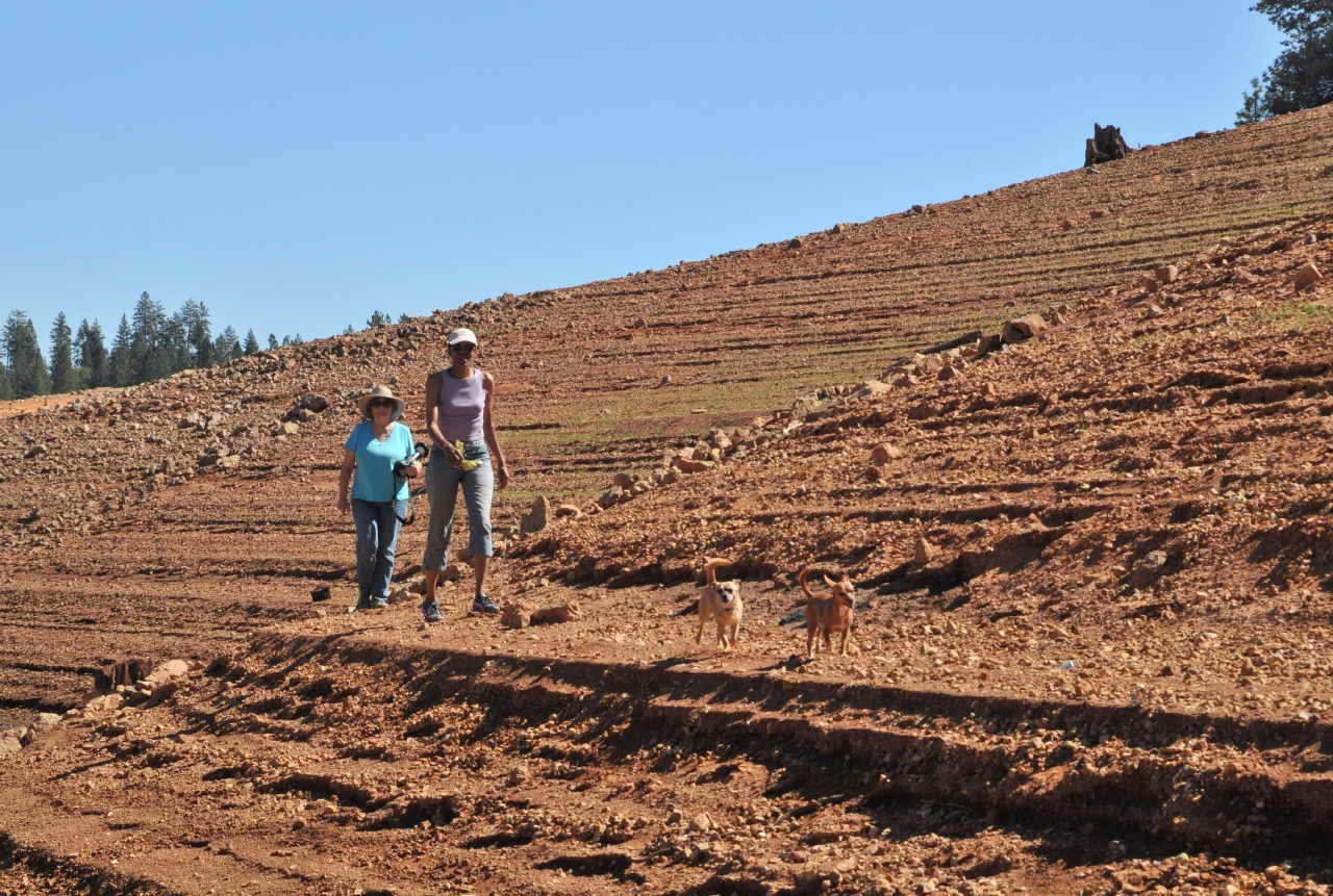 ./Shasta_Lake_20130919_120459_B13_7518.jpg