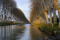 CanalDuMidi2007_33.jpg