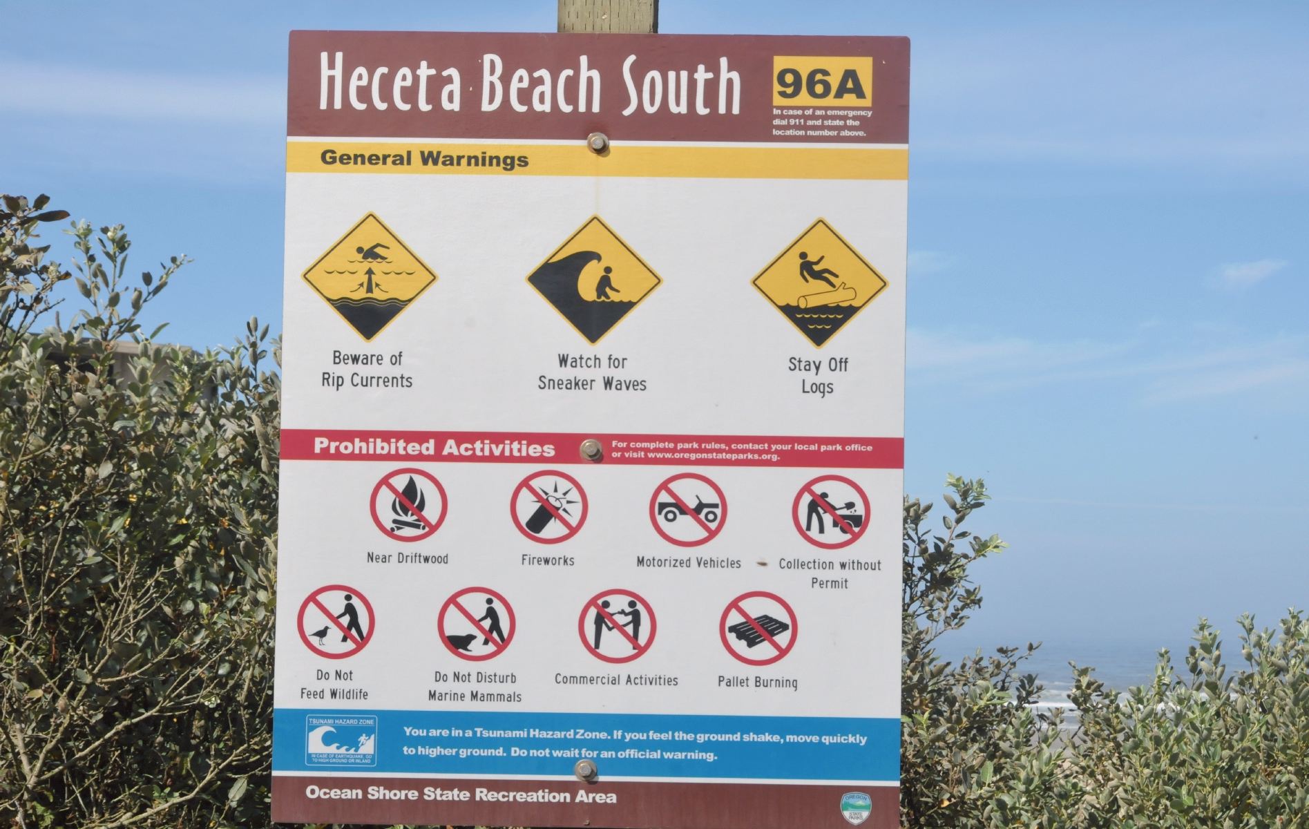 ./Heceta_Beach_20160907_111552_C16_9372.jpg