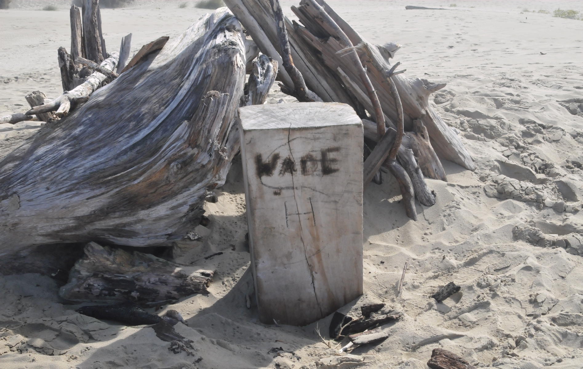 ./Heceta_Beach_20160907_112858_C16_9395.jpg