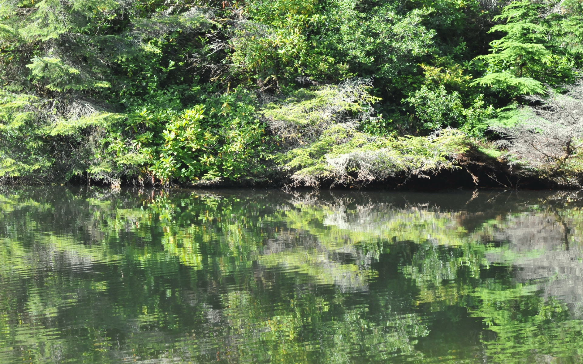 ./Lake_Marie_Oregon_State_Park_20190719_091839_C19_3720.jpg