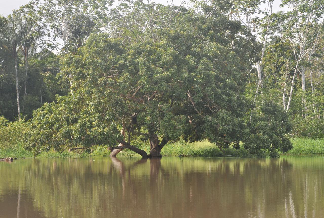 ./FishingTripAmazonPeru20090407_093504_2492BCX.jpg