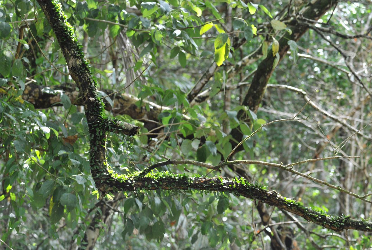 ./FishingTripAmazonPeru20090407_101046_2514BCX.jpg