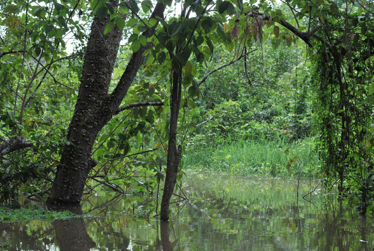 ./FishingTripAmazonPeru20090407_102956_2520BCX.jpg