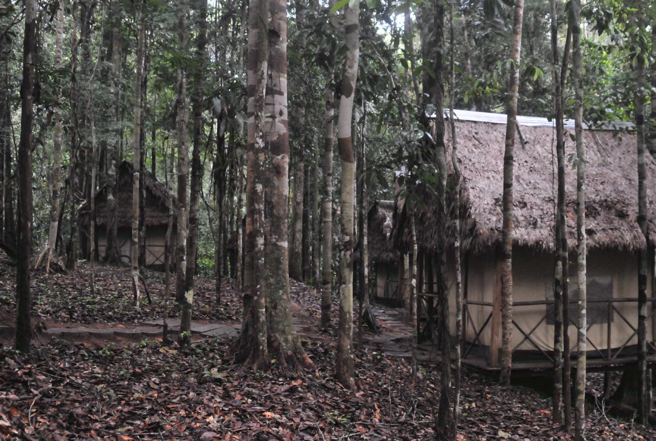 ./JungleCampAmazonPeru20090409_27_065752_3009BCX.jpg