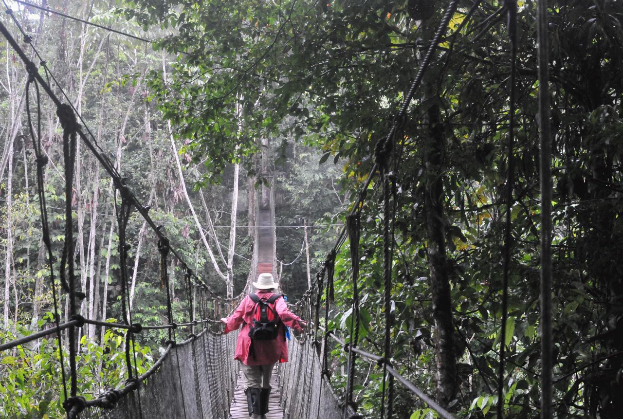 ./JungleCampAmazonPeru20090409_37_085012_3024BCX.jpg