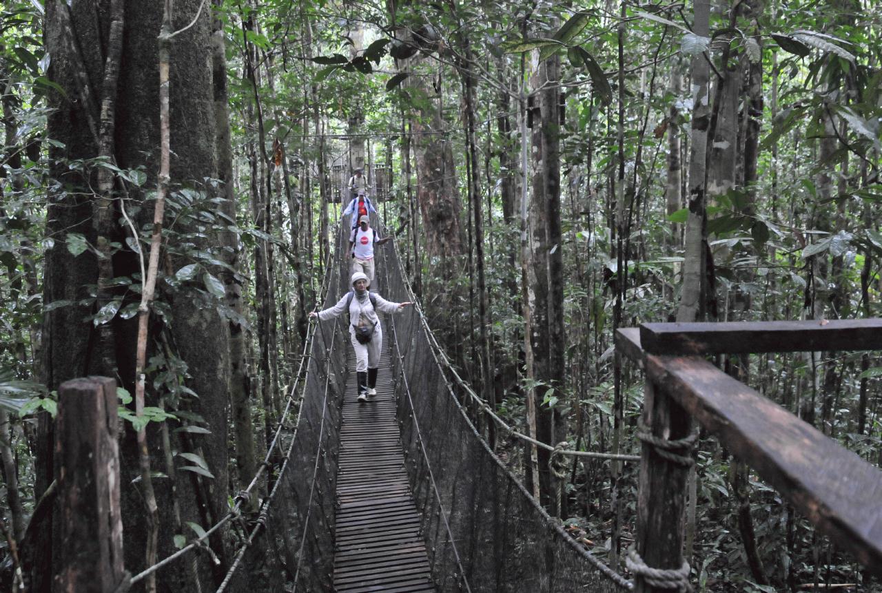 ./JungleCampAmazonPeru20090409_43_090632_3045BCX.jpg