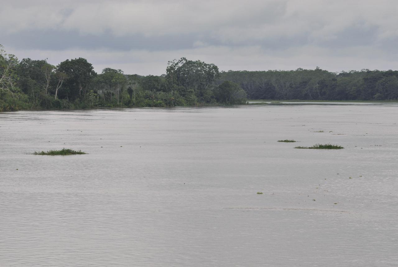 ./AmazonRiver20090406_132700_2371BCX.jpg