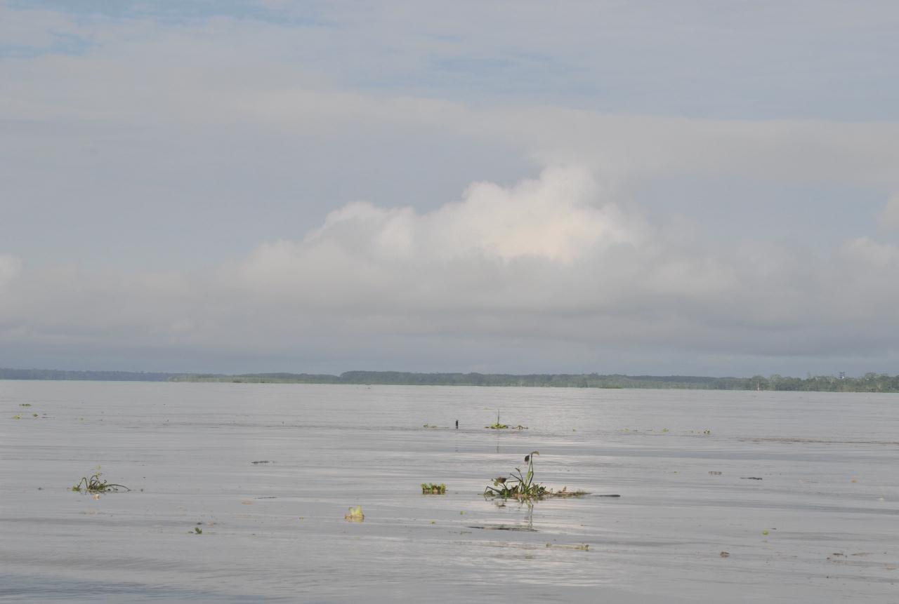 ./AmazonRiver20090407_092612_2487BCX.jpg