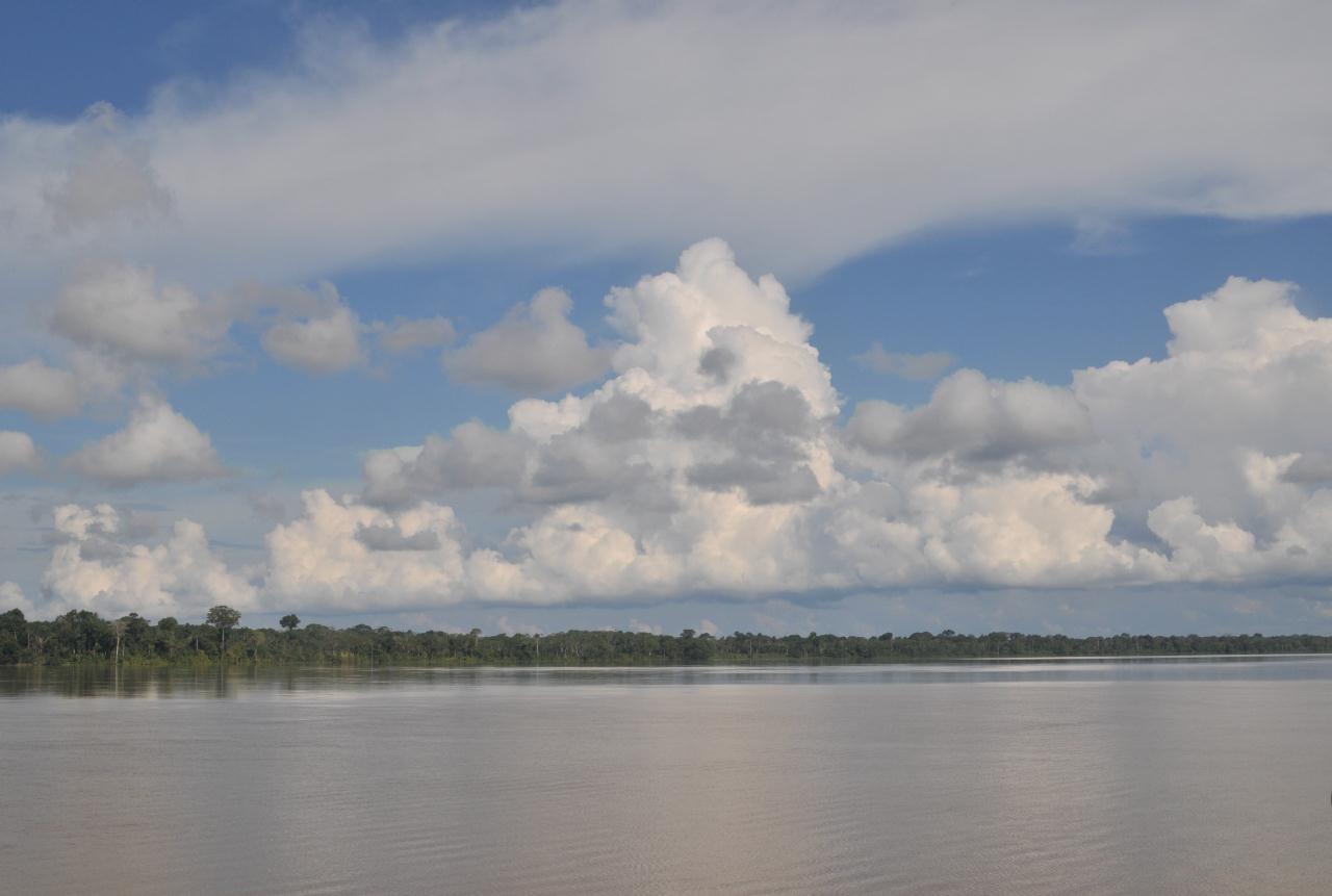 ./AmazonRiver20090407_160718_2578BCX.jpg