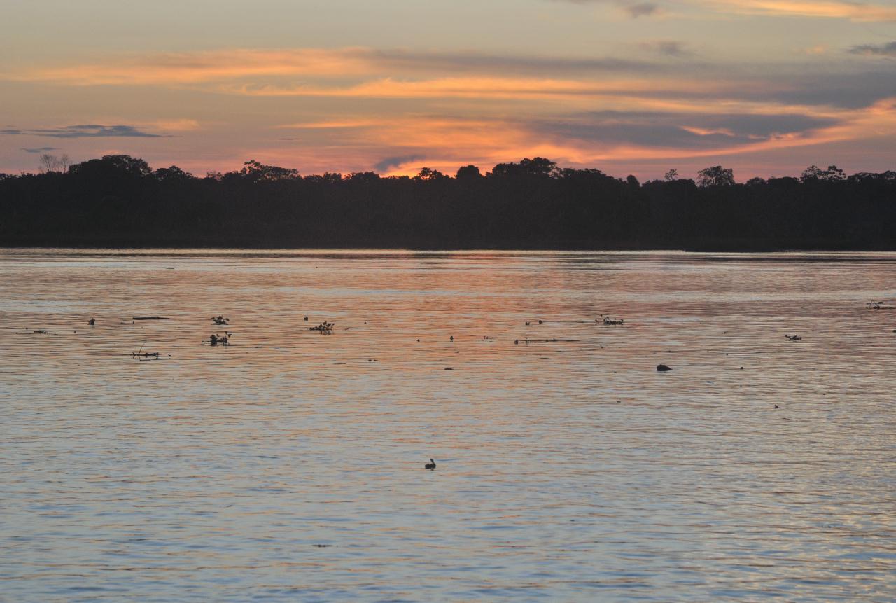 ./AmazonRiver20090407_185910_2686BCX.jpg