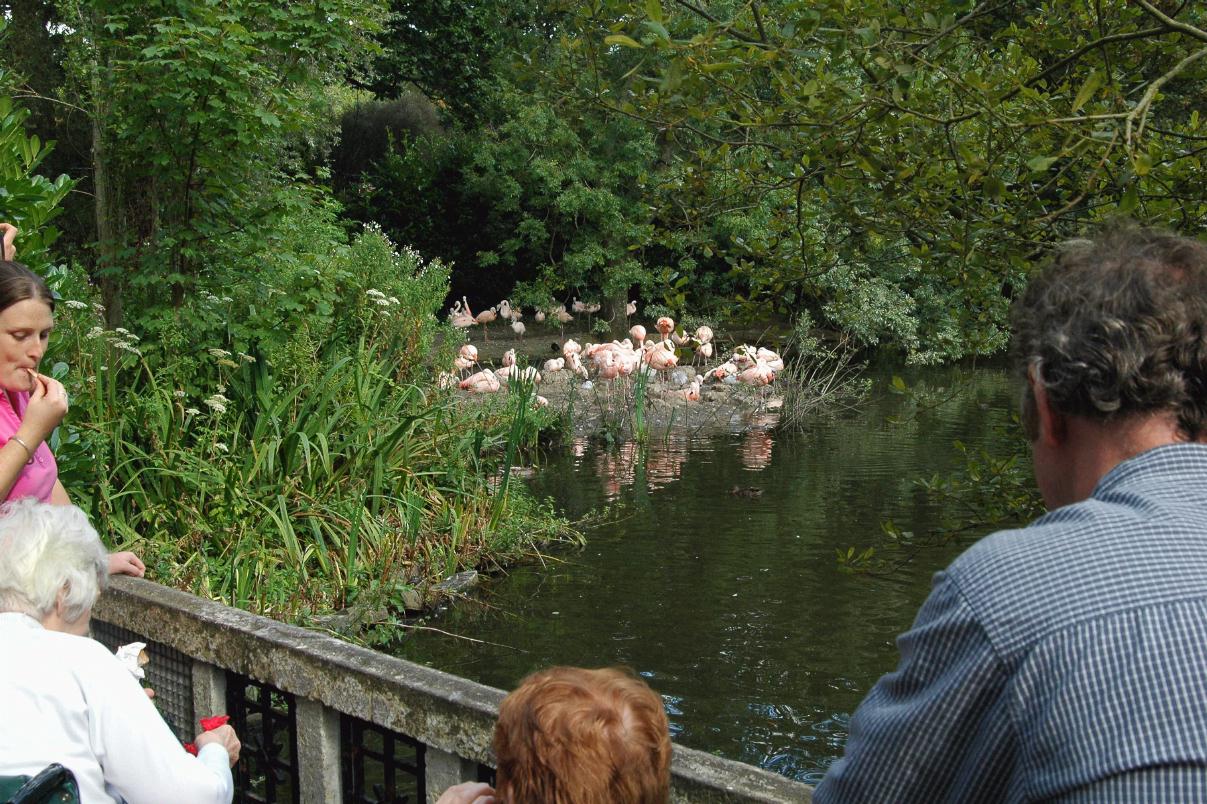 ./DublinZoo2007_09.jpg