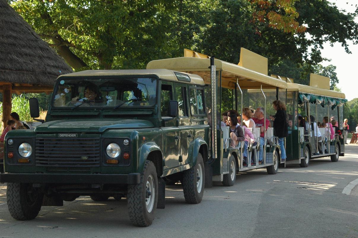 ./DublinZoo2007_17.jpg