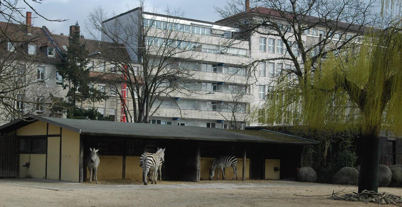 ./ZooKarlsruheGermany2008_41_0738B.jpg