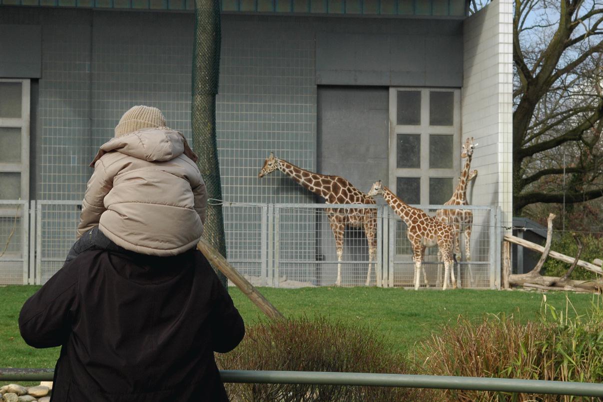 ./ZooKarlsruheGermany2008_43_-742B.jpg