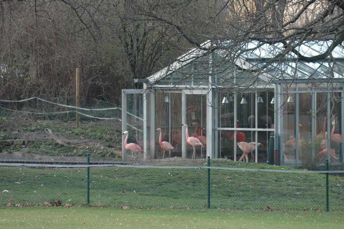 ./ZooKarlsruheGermany2008_48_1237T.jpg