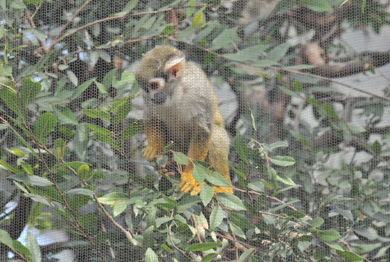 ./Oakland_Zoo_20131006_115620_T13_1269.jpg