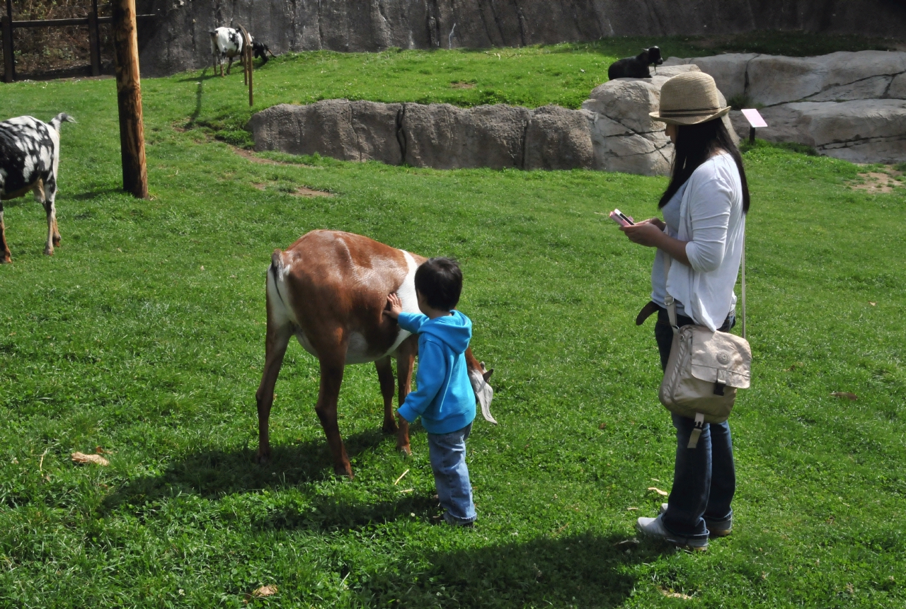 ./Oakland_Zoo_20131006_130154_B13_7693.jpg