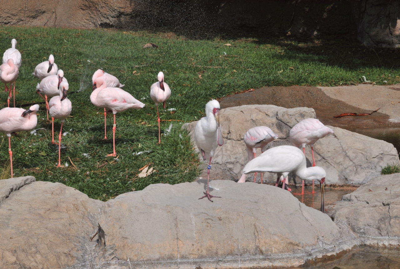 ./Oakland_Zoo_20131006_114433_B13_7566.jpg