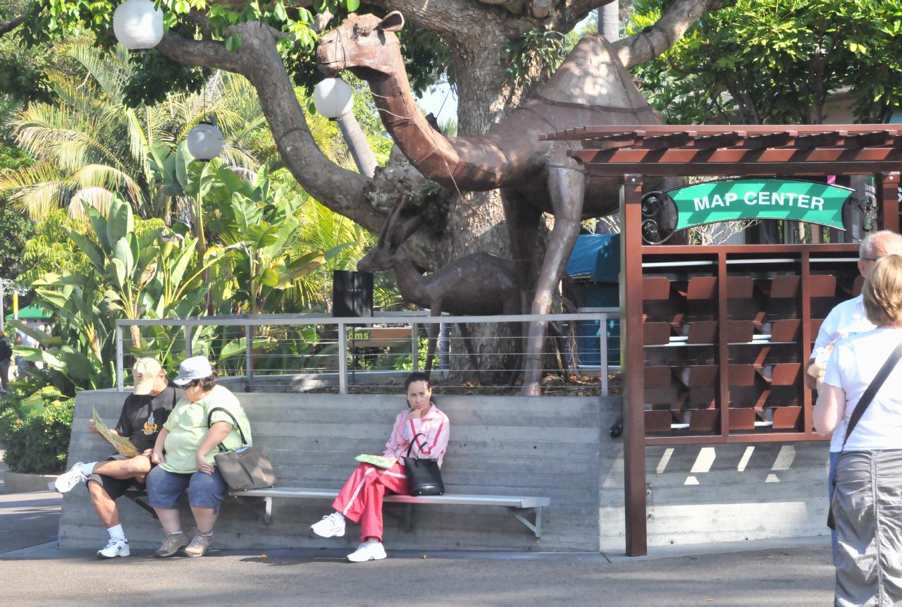 ./San_Diego_Zoo_20101013_095829_BCX_9800.jpg