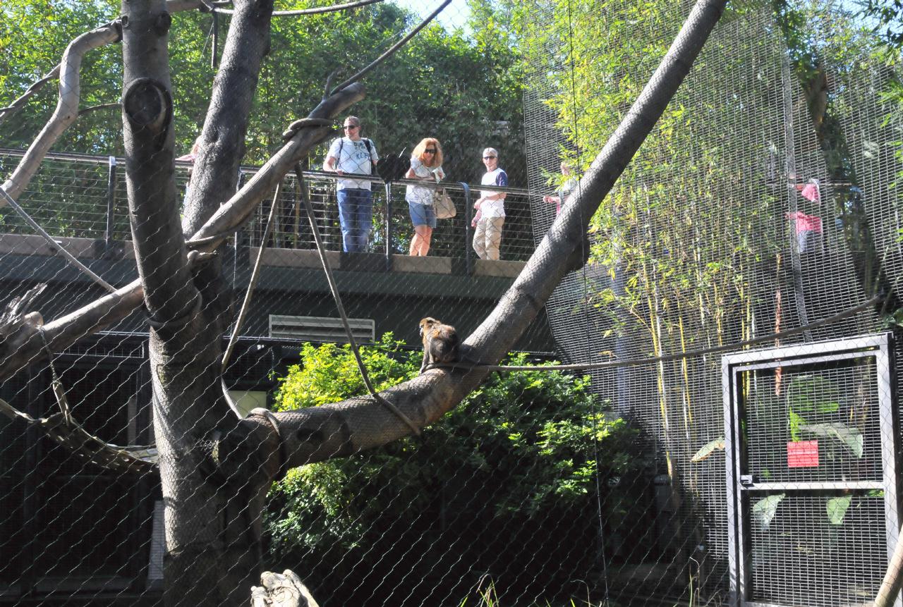 ./San_Diego_Zoo_20101013_101645_BCX_9820.jpg