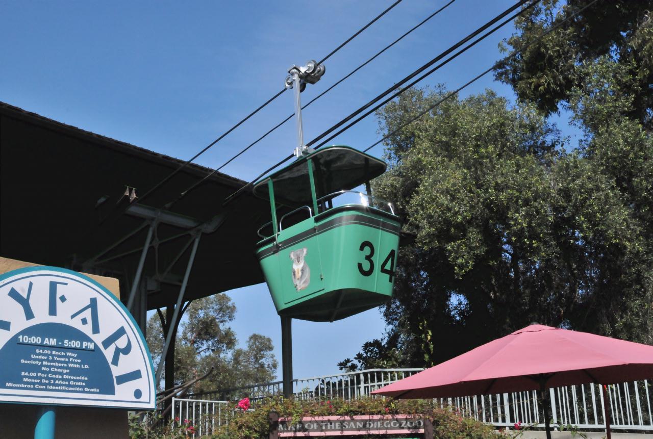 ./San_Diego_Zoo_20101013_111522_BCX_9910.jpg