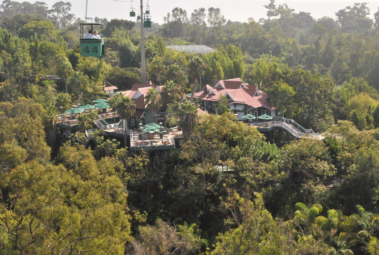 ./San_Diego_Zoo_20101013_111835_BCX_9916.jpg