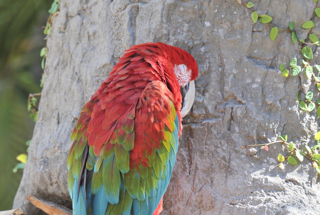 ./Santa_Barbara_Zoo_20101008_143938_8960TNT.jpg