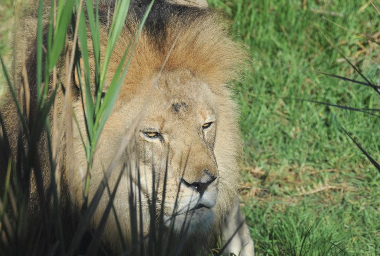 ./Santa_Barbara_Zoo_20101008_155402_9022TNT.jpg